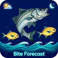Bite Forecast